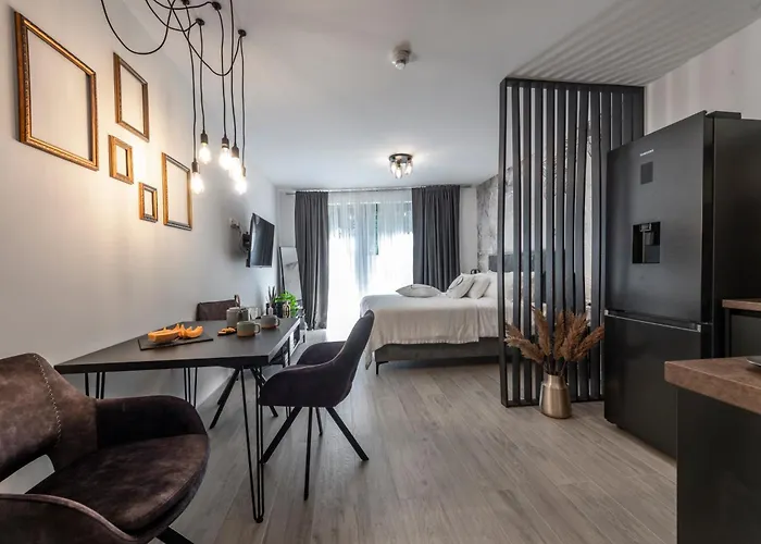 Appartement Modern Lacus